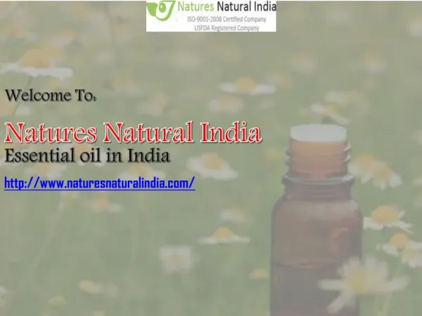 Find Best Essential Oils in India at Naturesnaturalindia.com
