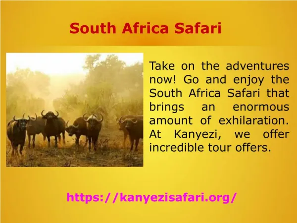 South Africa Safari Best