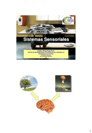 SENSORY - slide 1