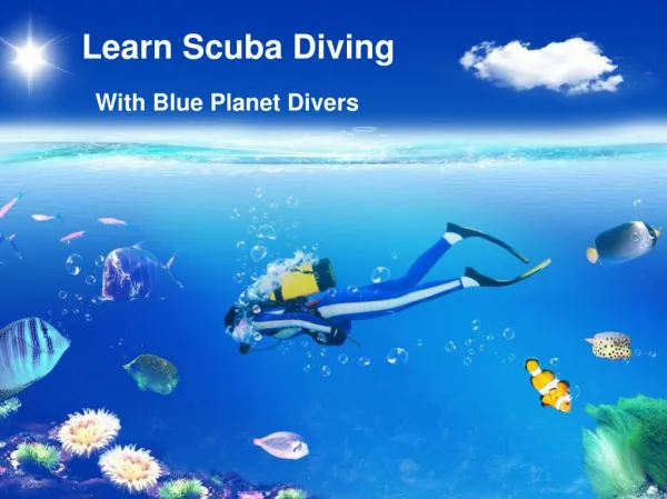 Learn Scuba Diving