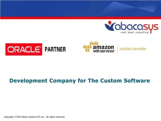 Development Company for The Custom Software - slide 1