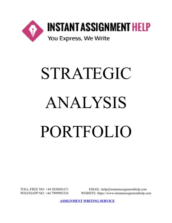 Sample Document on Strategic Analysis Portfolio