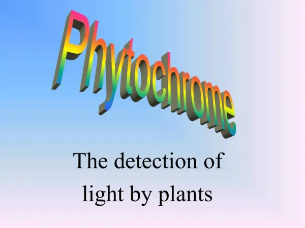 The detection of light by plants