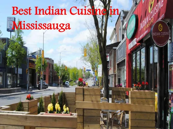 The Best Food, Indian Cuisine in Mississauga