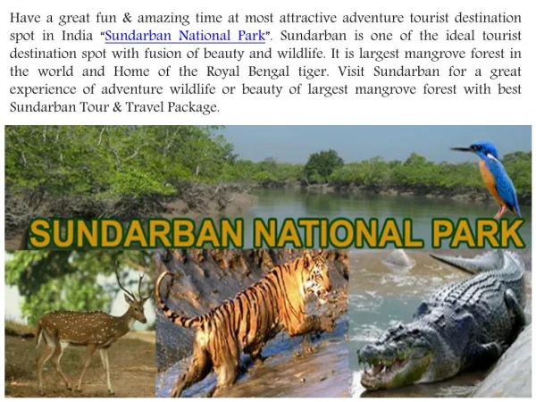 Enjoy Best Sundarban Tour & Travel Package with Affordable Price