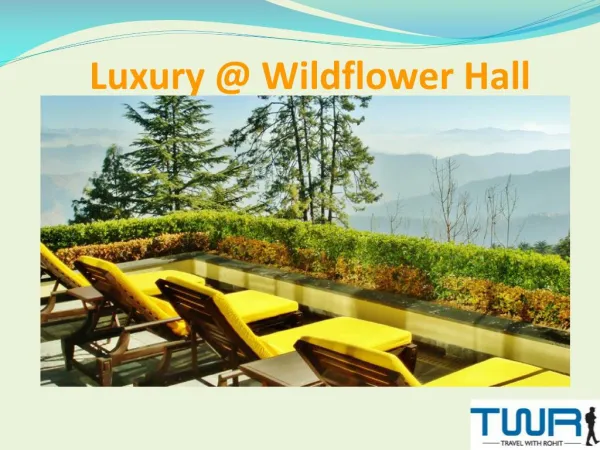 Luxury at Oberoi’s Wildflower hall