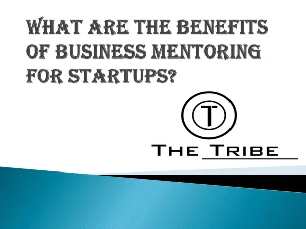 What are the Benefits of Business Mentoring for Startups?