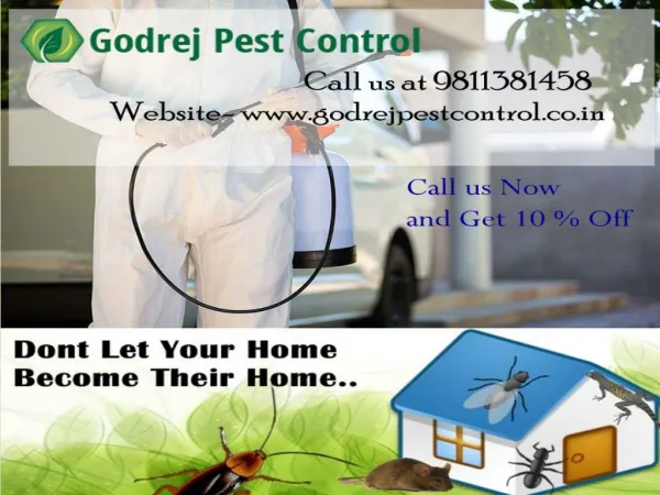 Looking for Pest Control Noida? Contact us 9811381458