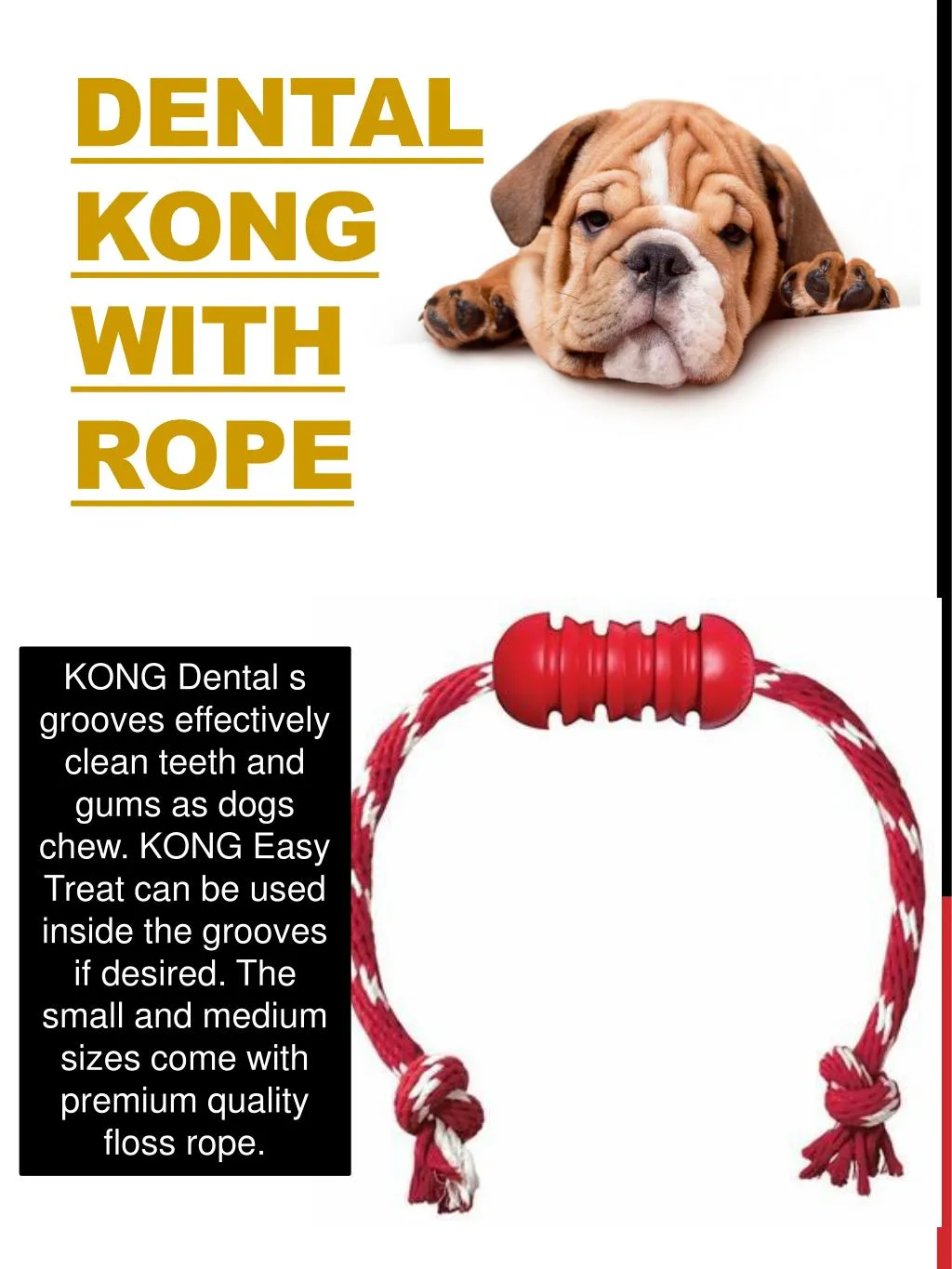 dental kong with rope
