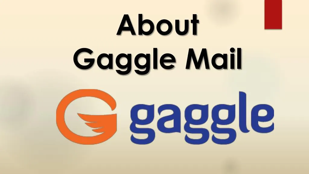 about gaggle mail