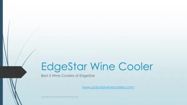 EdgeStar Wine Cooler