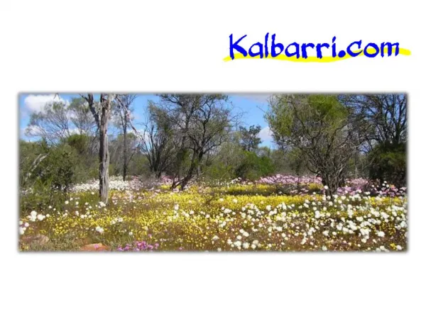 Get Luxury Kalbarri Hotels, Resorts & Restaurants in Best Price WA