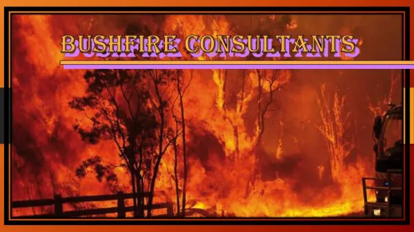 Bushfire Consultants