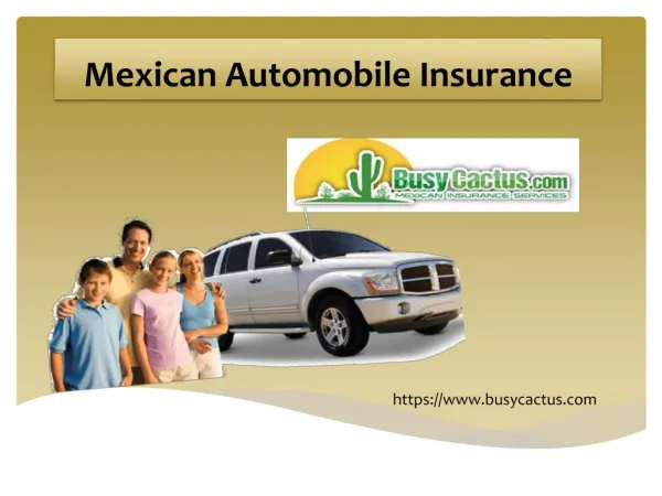 Mexican Automobile Insurance Services