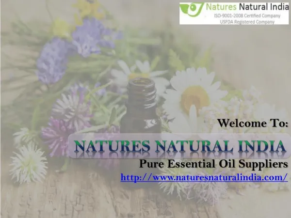 Get Exclusive Collection of Natural Essential Oils from Naturesnaturalindia.com