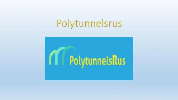 Commercial Polytunnel