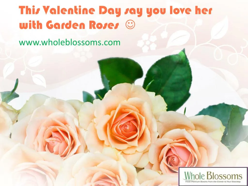 this valentine day say you love her with garden roses