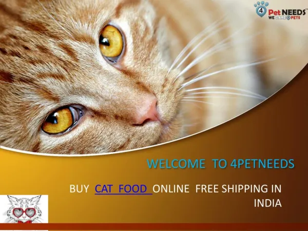 Buy online Cat Food Supplies in India-4Petneeds
