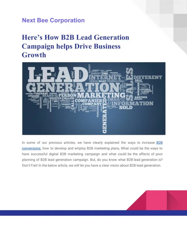E-Book on B2B Lead Generation Campaign