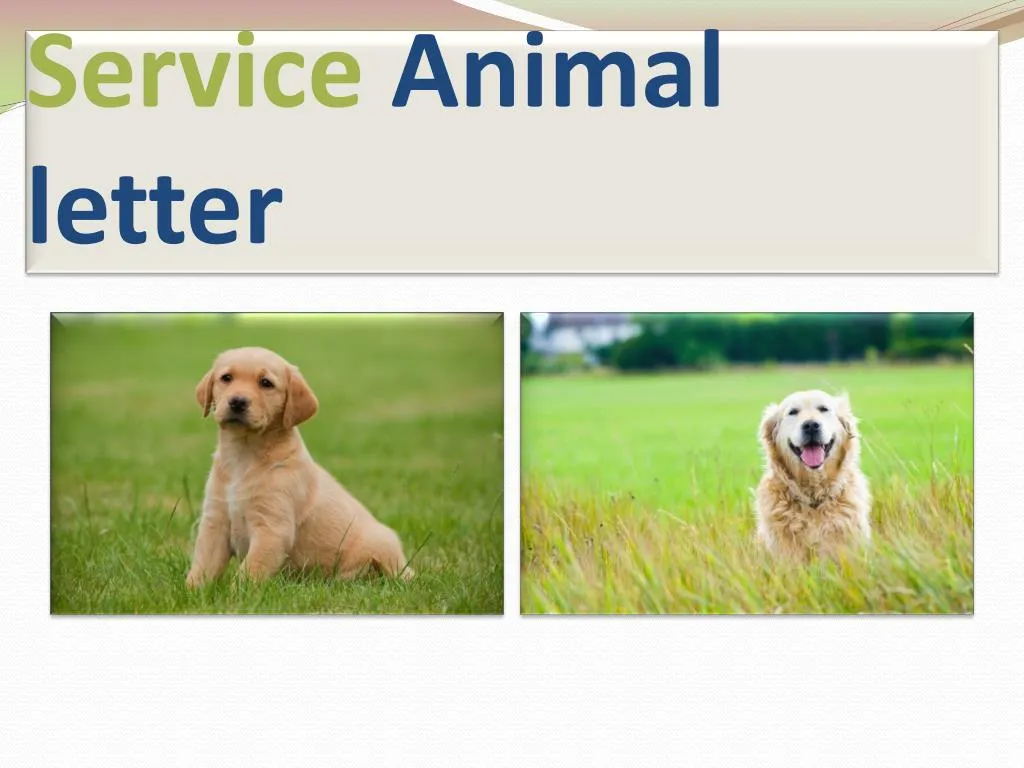 service animal letter