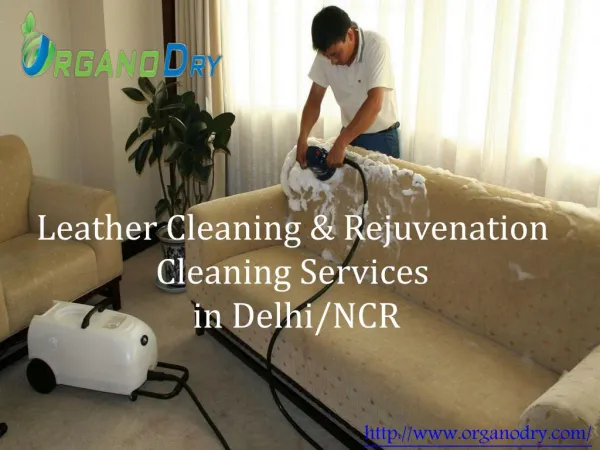 Leather Cleaning & Rejuvenation Cleaning Services in Delhi/NCR