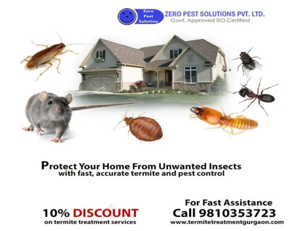 Get 100% effective, odorless and safe pest control solutions for termite’s eradication.