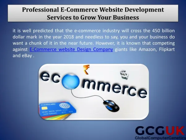 Professional E-Commerce Website Development Services to Grow Your Business