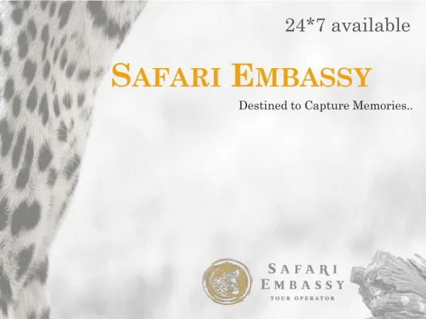 Safari Embassy tour operator
