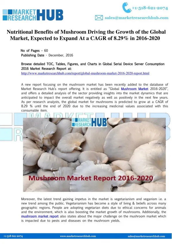 Global Mushroom Market Report 2020