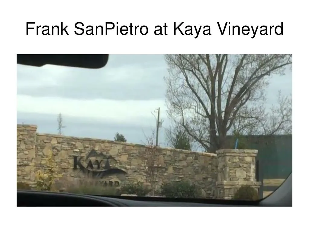 frank sanpietro at kaya vineyard