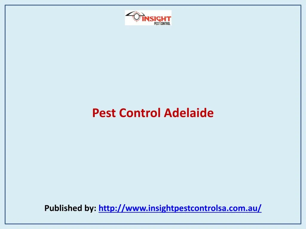 pest control adelaide published by http www insightpestcontrolsa com au
