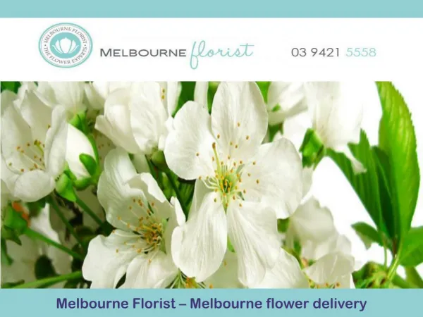 Melbourne Florist – Melbourne flower delivery