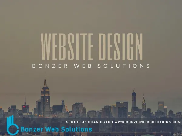 Website Design Development - Bonzer Web Solutions