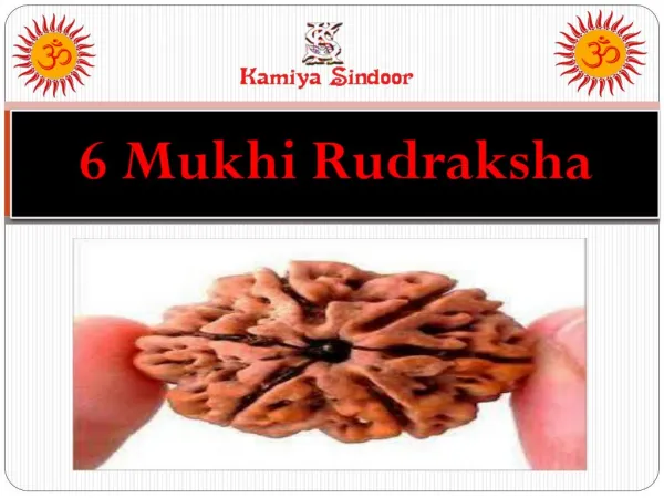 Certified 6 Mukhi Rudraksha