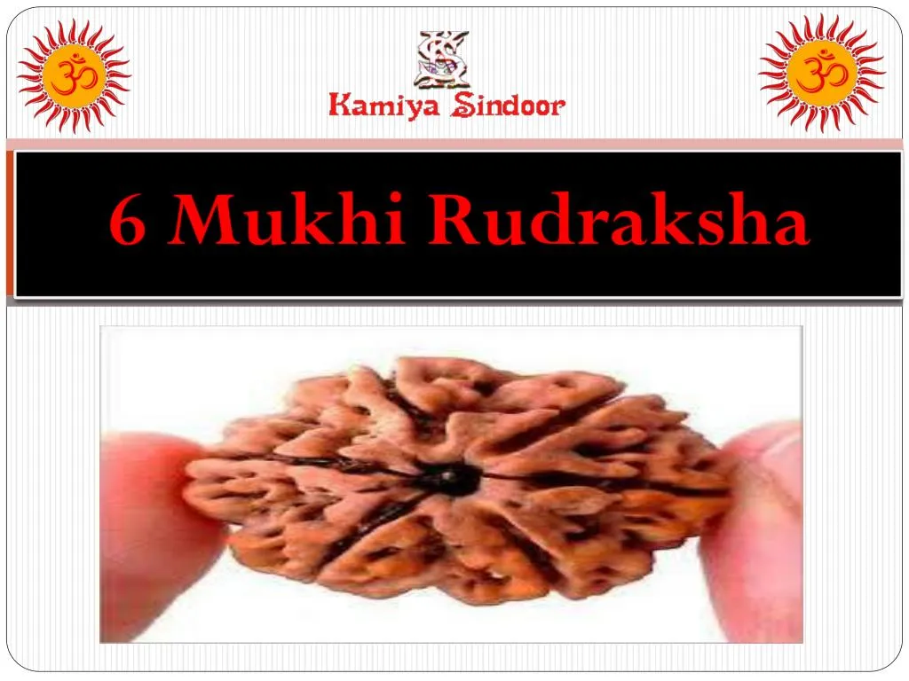 6 mukhi rudraksha