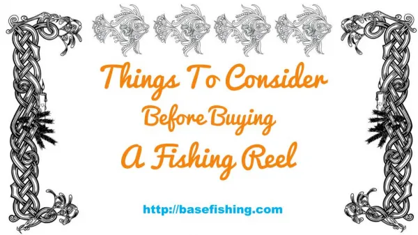 Top 5 Fishing Reels