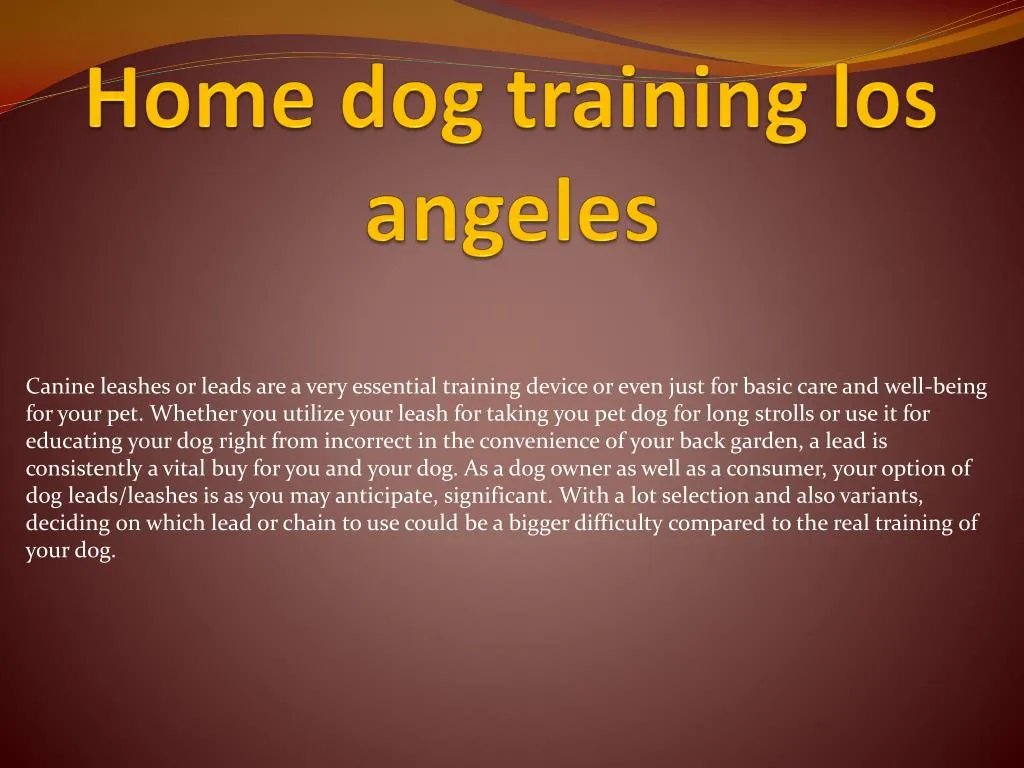 home dog training los angeles