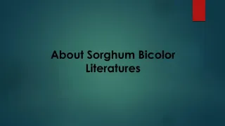 African Traditional Medicine - slide 1