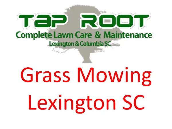 Professional Grass Mowing Lexington SC
