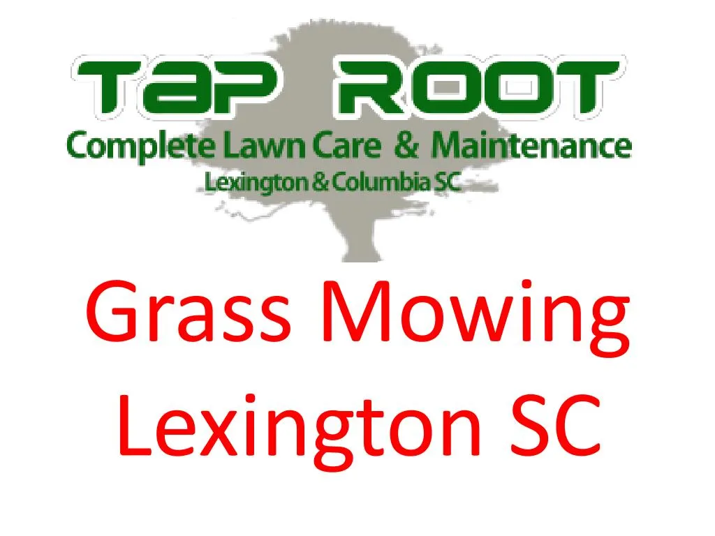 grass mowing lexington sc
