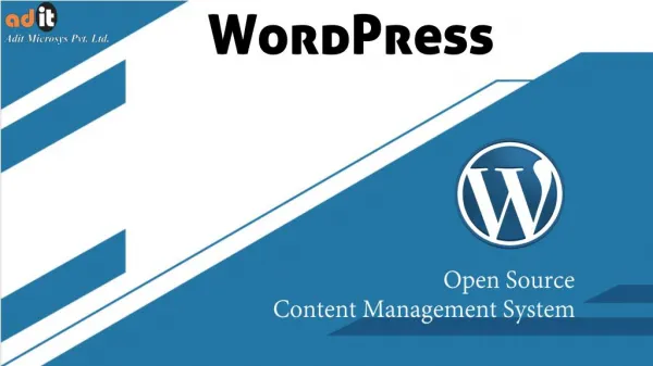 WordPress Website Development Use Open Source CMS