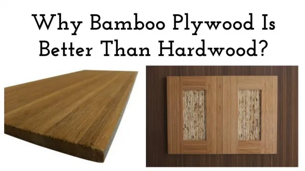 `Why Bamboo Plywood Is Better Than Hardwood?