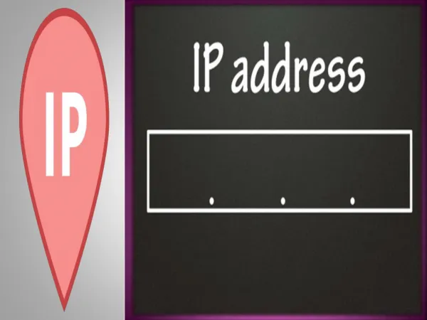 What You Mean By IP Address?