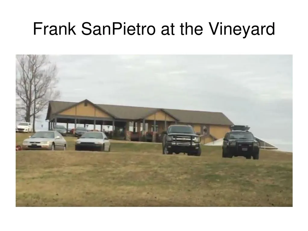 frank sanpietro at the vineyard