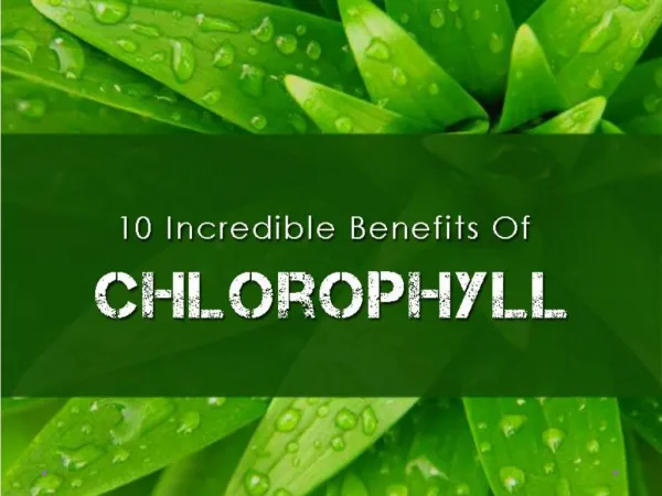 10 Incredible Benefits Of Chlorophyll