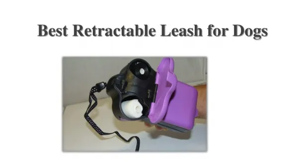 Best Retractable Leash for Dogs