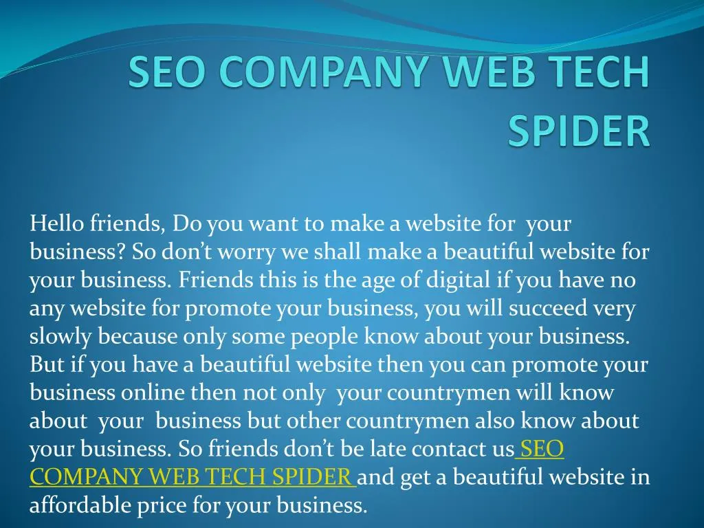 seo company web tech spider