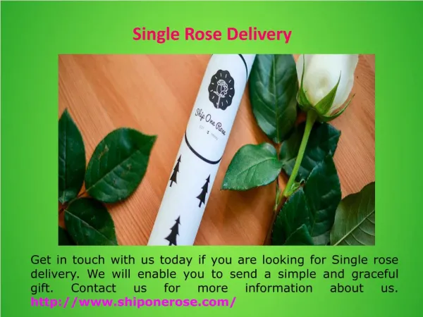 Send Single Rose Online