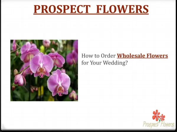 Prospect Flowers is Best Wholesale Wedding Flowers in India