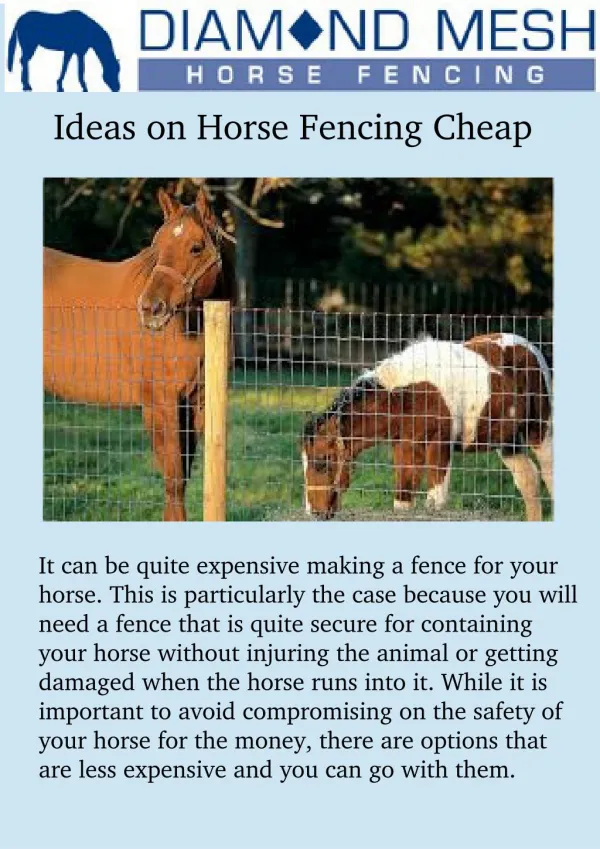 Ideas on horse fencing cheap